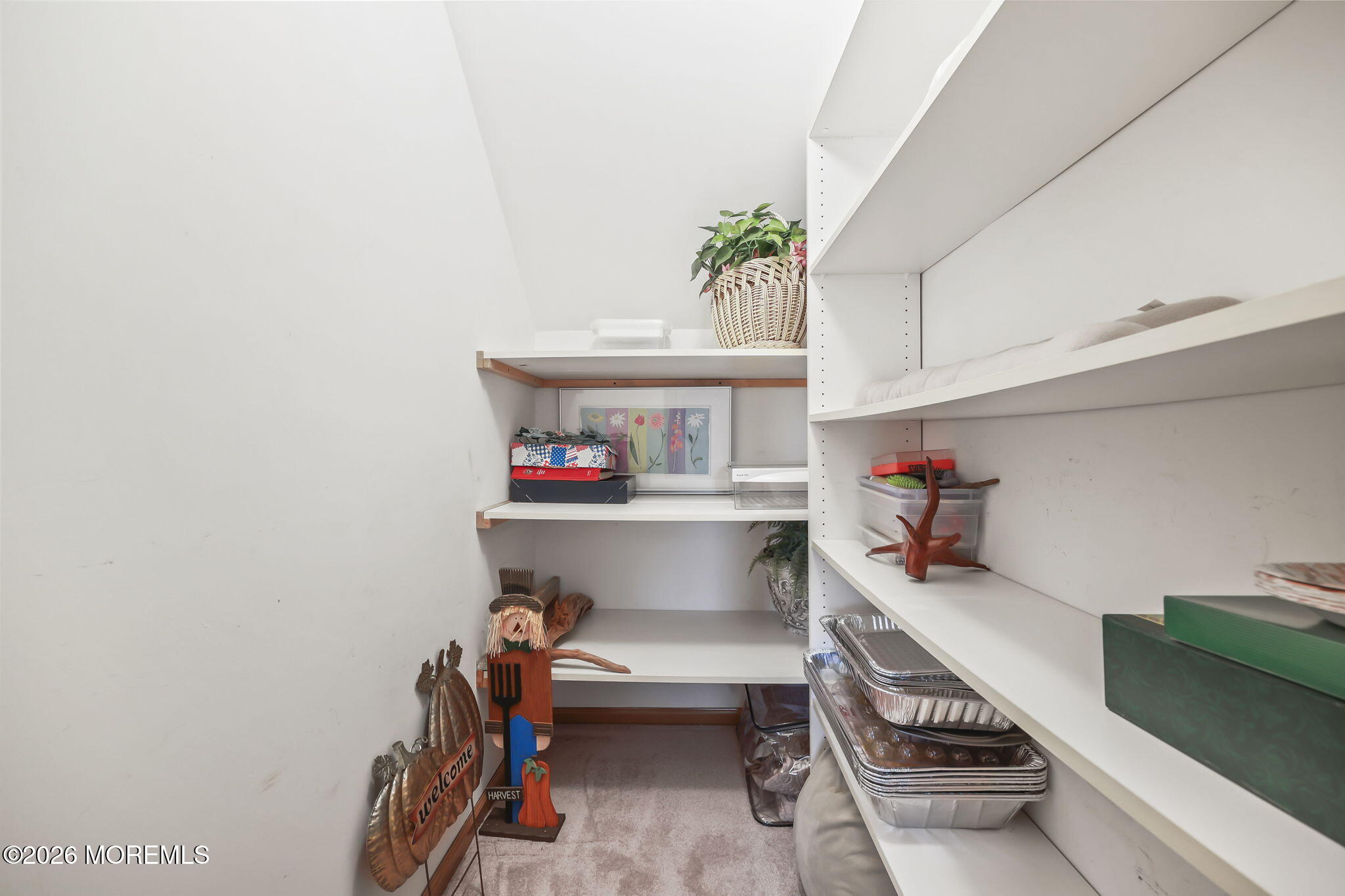 31 Sweetbriar Trail Howell, NJ 07731 - Photo 27 of 41 2nd Floor Alk-In Closet