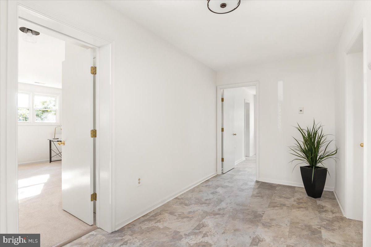 1202 Edgevale Road Silver Spring, MD 20910 - Photo 27 of 44 Basement