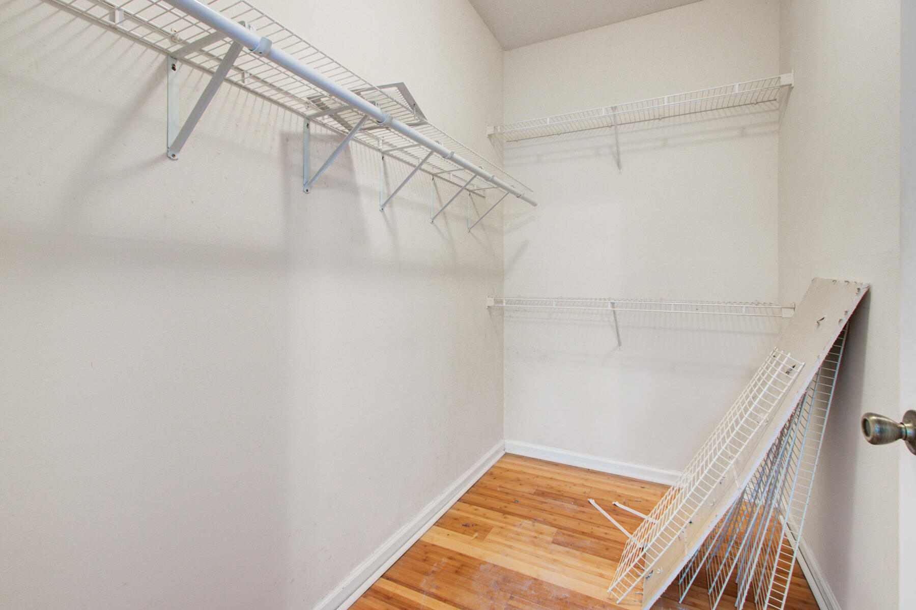 1911 Chatelain Way Mount Pleasant, SC 29464 - Photo 17 of 29 1911 Chatelain Way, Mount pleasant SC (1