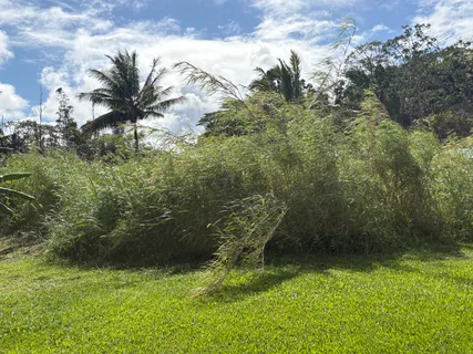 $25,000 | 335 Honu Street, Pahoa, HI 96778
