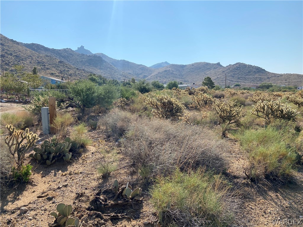 0 West High Road Golden Valley, AZ 86413 - Photo 4 of 13 Gallery Image 4
