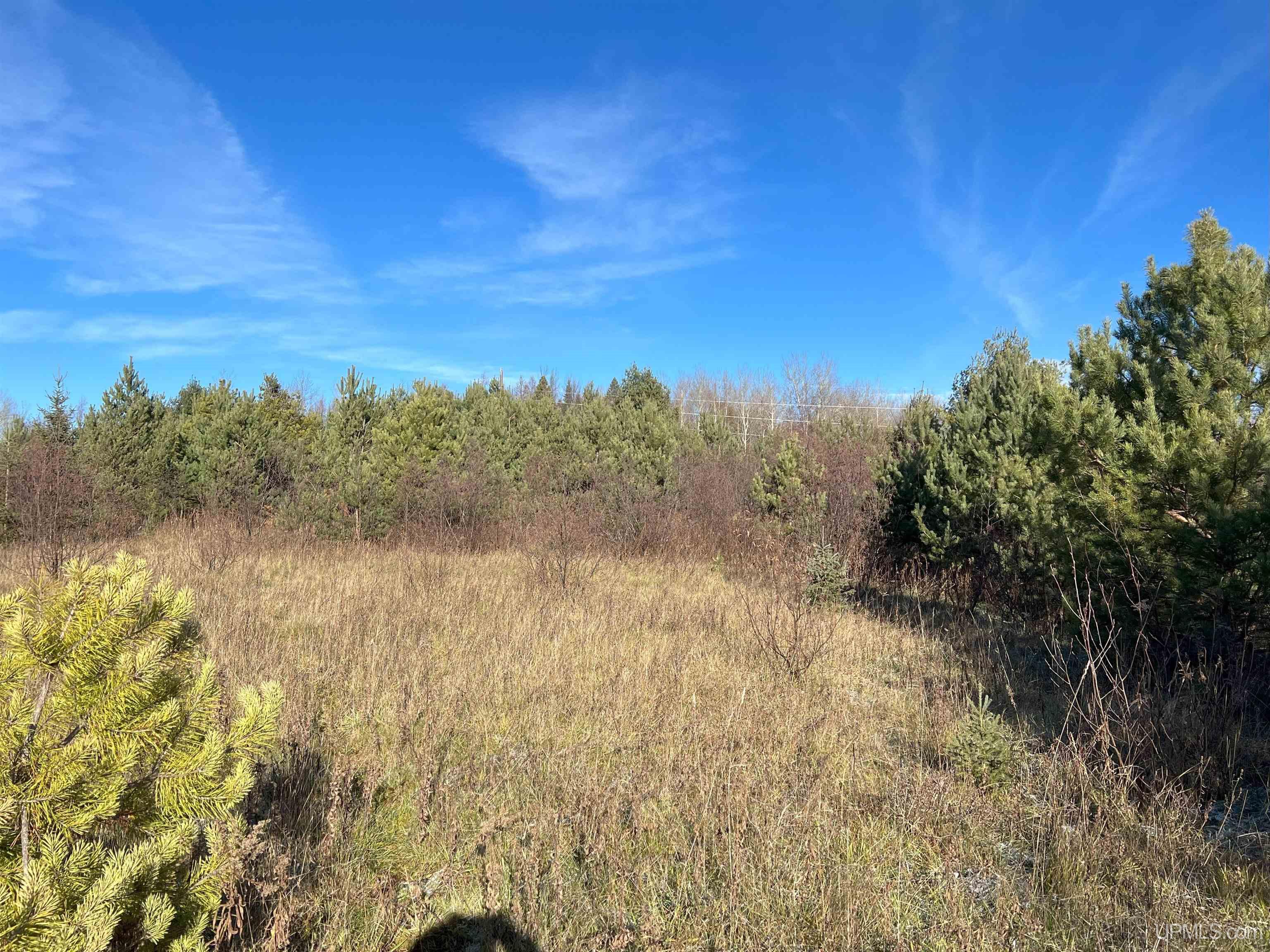 Tbd Indianhead Road, Unit US2 FRONTED Wakefield, MI 49968 - Photo 7 of 20 Gallery Image 7