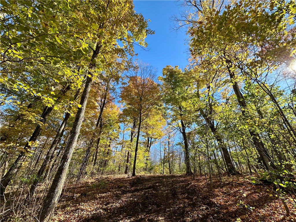 Lake Lot 7-3.73 Acres) Lake Road Exeland, WI 54835 - Photo 2 of 10