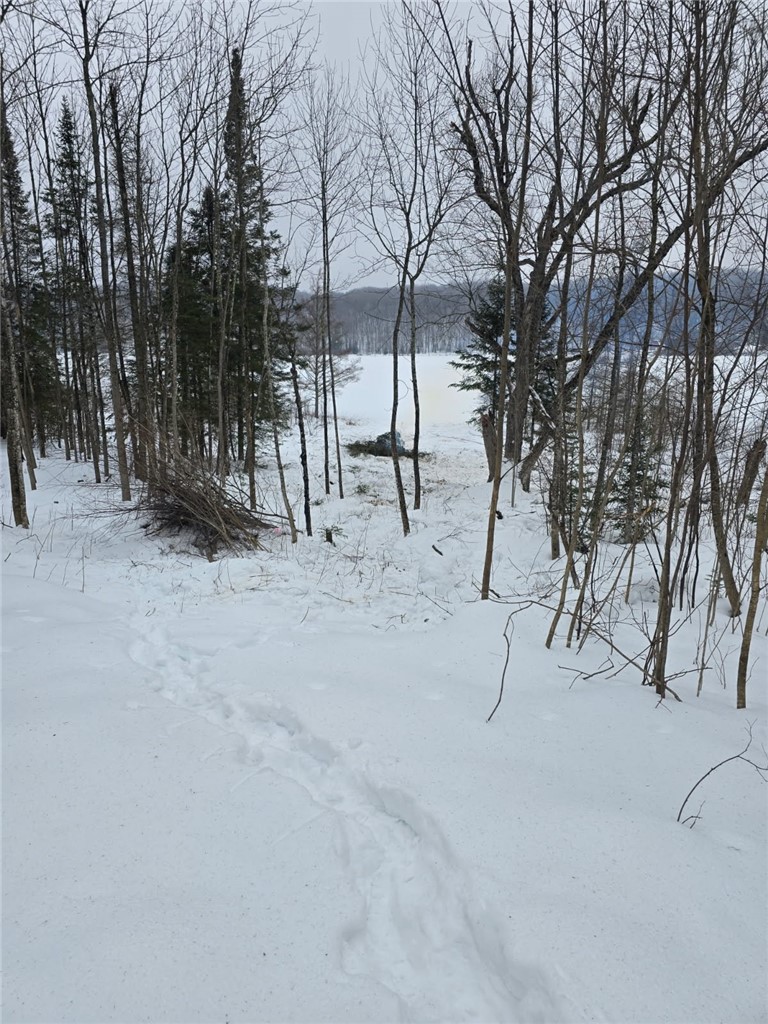 Lake Lot 7-3.73 Acres) Lake Road Exeland, WI 54835 - Photo 3 of 10