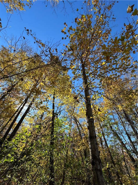 Lake Lot 7-3.73 Acres) Lake Road Exeland, WI 54835 - Photo 6 of 10