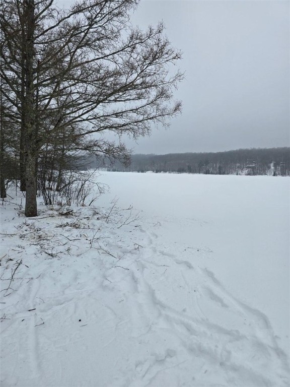 Lake Lot 7-3.73 Acres) Lake Road Exeland, WI 54835 - Photo 7 of 10