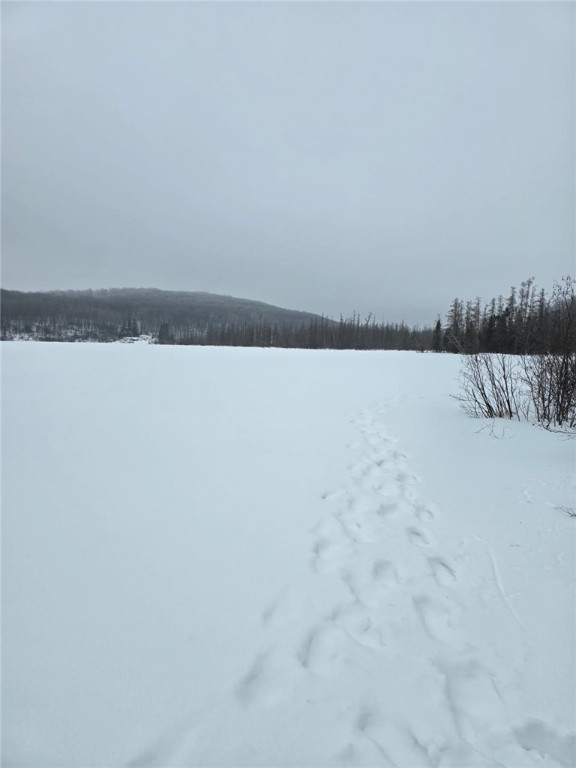 Lake Lot 7-3.73 Acres) Lake Road Exeland, WI 54835 - Photo 9 of 10