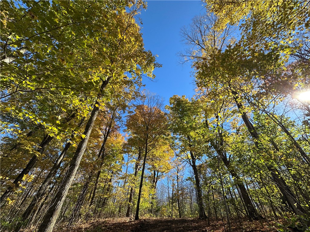 Lake Lot 7-3.73 Acres) Lake Road Exeland, WI 54835 - Photo 10 of 10