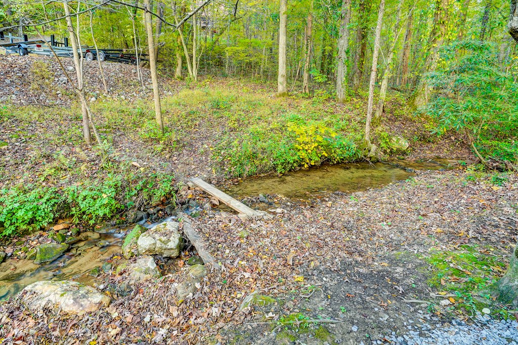 28 Rowland Pointe Morganton, GA 30560 - Photo 9 of 67