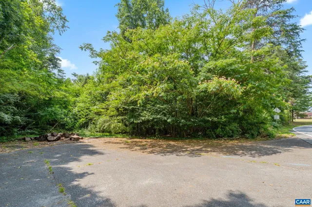 a view of a yard with a tree