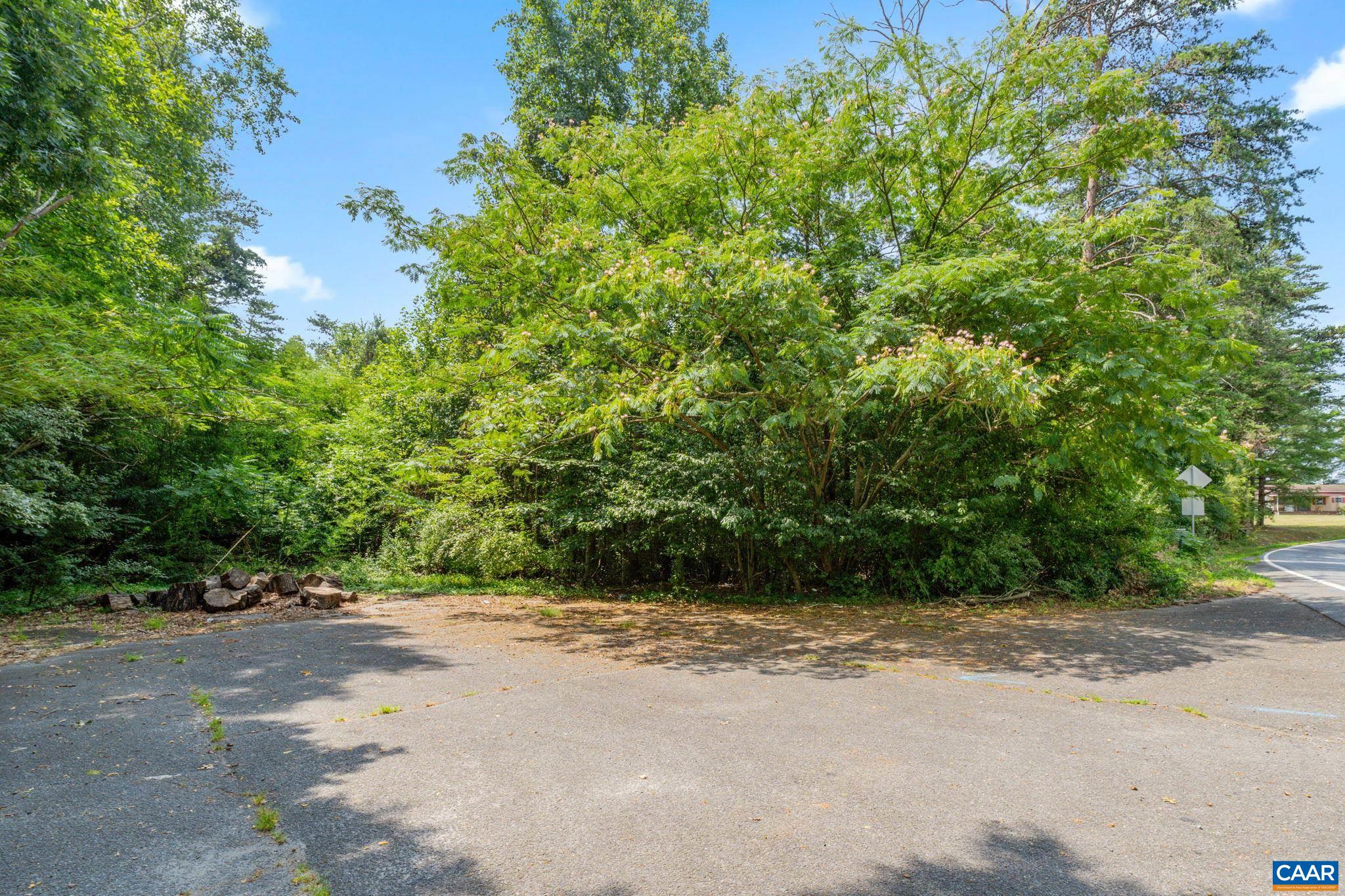 Lot Preddy Preddy Creek Road Barboursville, VA 22923 - Photo 5 of 8 a view of a yard with a tree