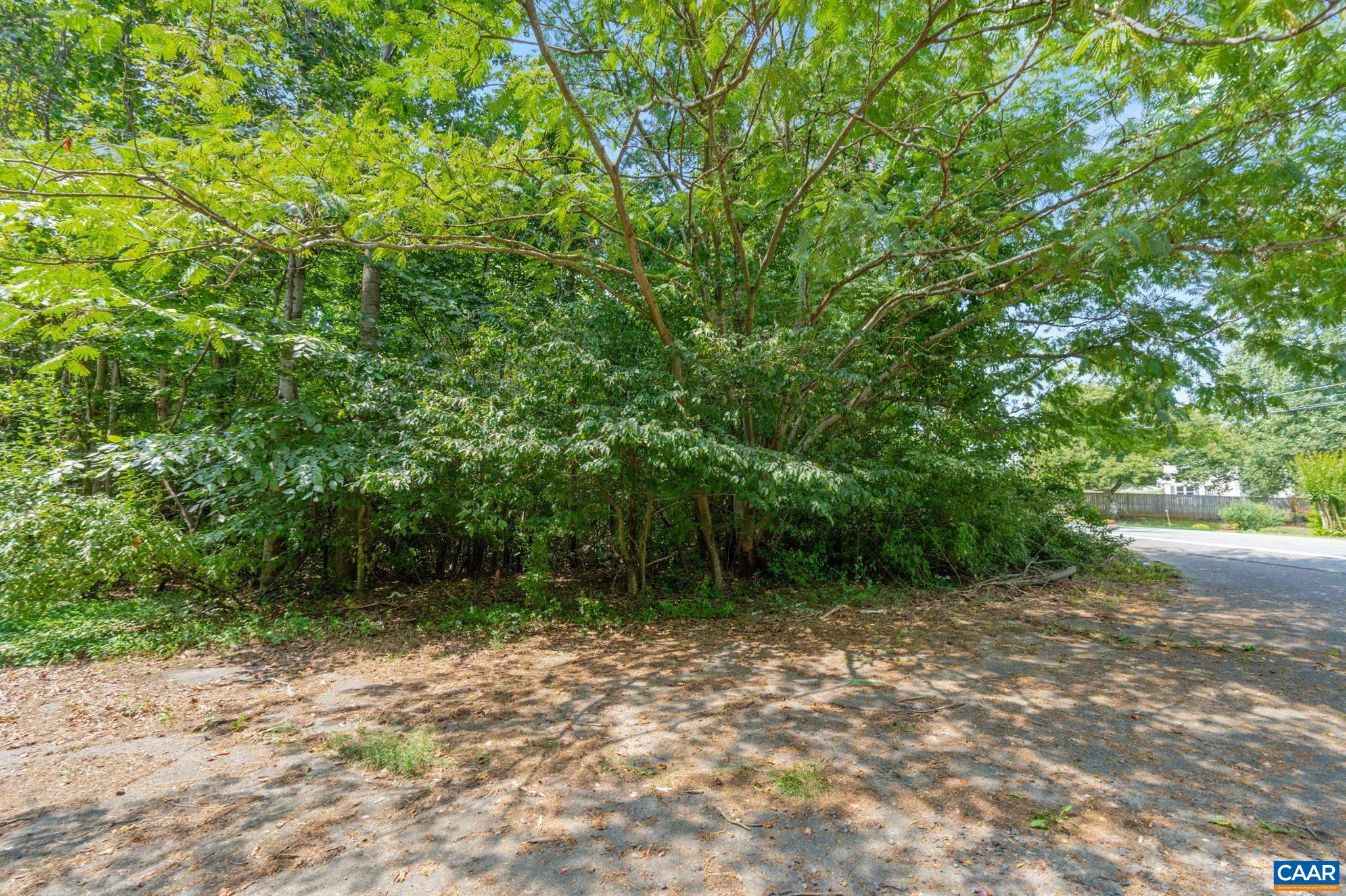 Lot Preddy Preddy Creek Road Barboursville, VA 22923 - Photo 6 of 8 a view of backyard with green space