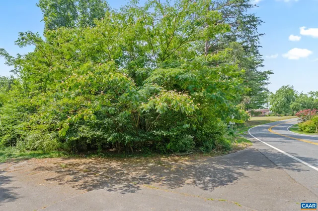 a view of a street with a trees