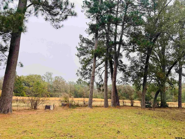 a view of a lake with a trees
