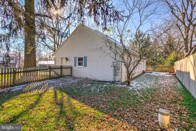 a view of backyard with tree