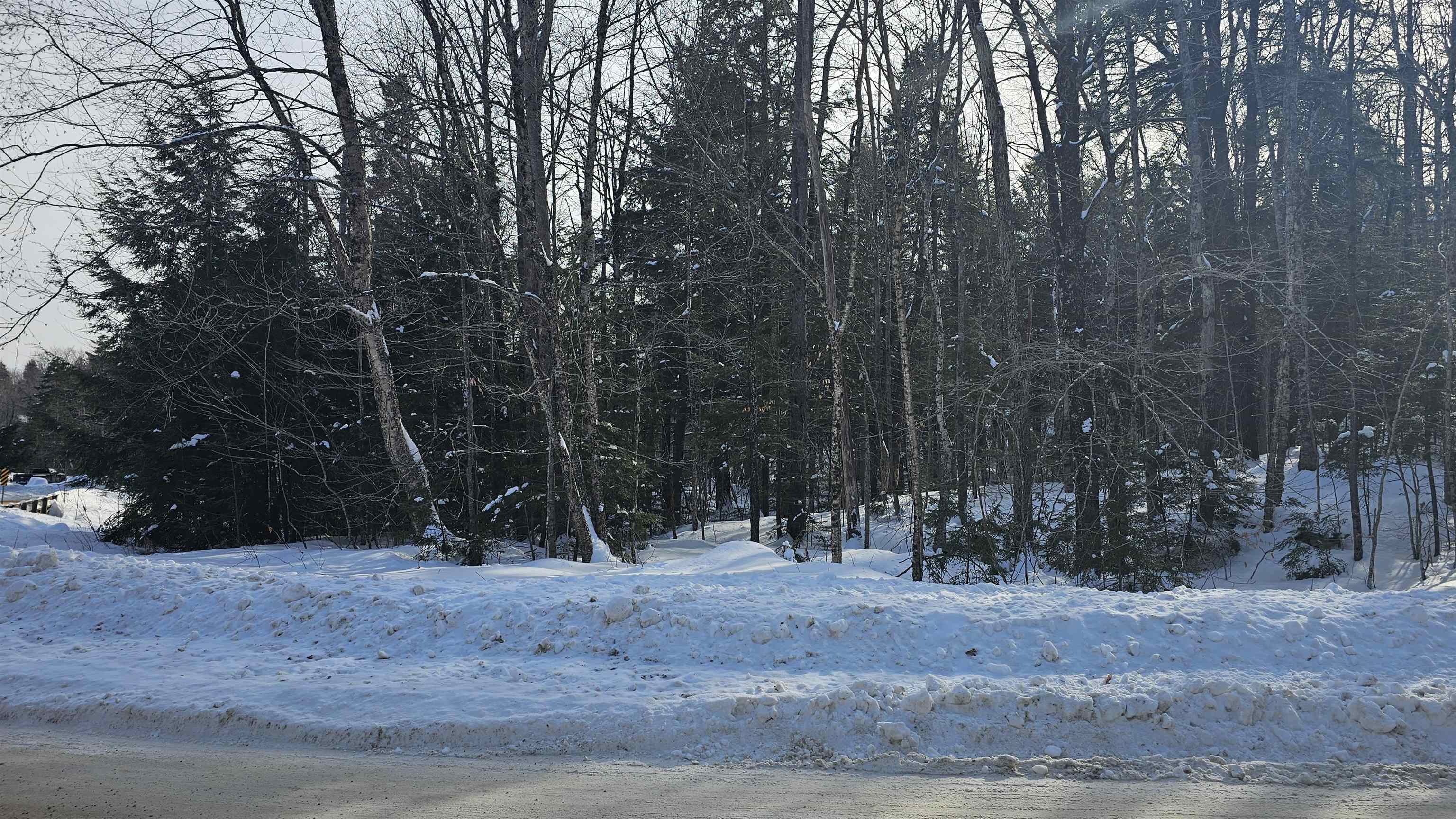 M24-l22 Valley Road Washington, NH 03280 - Photo 1 of 28