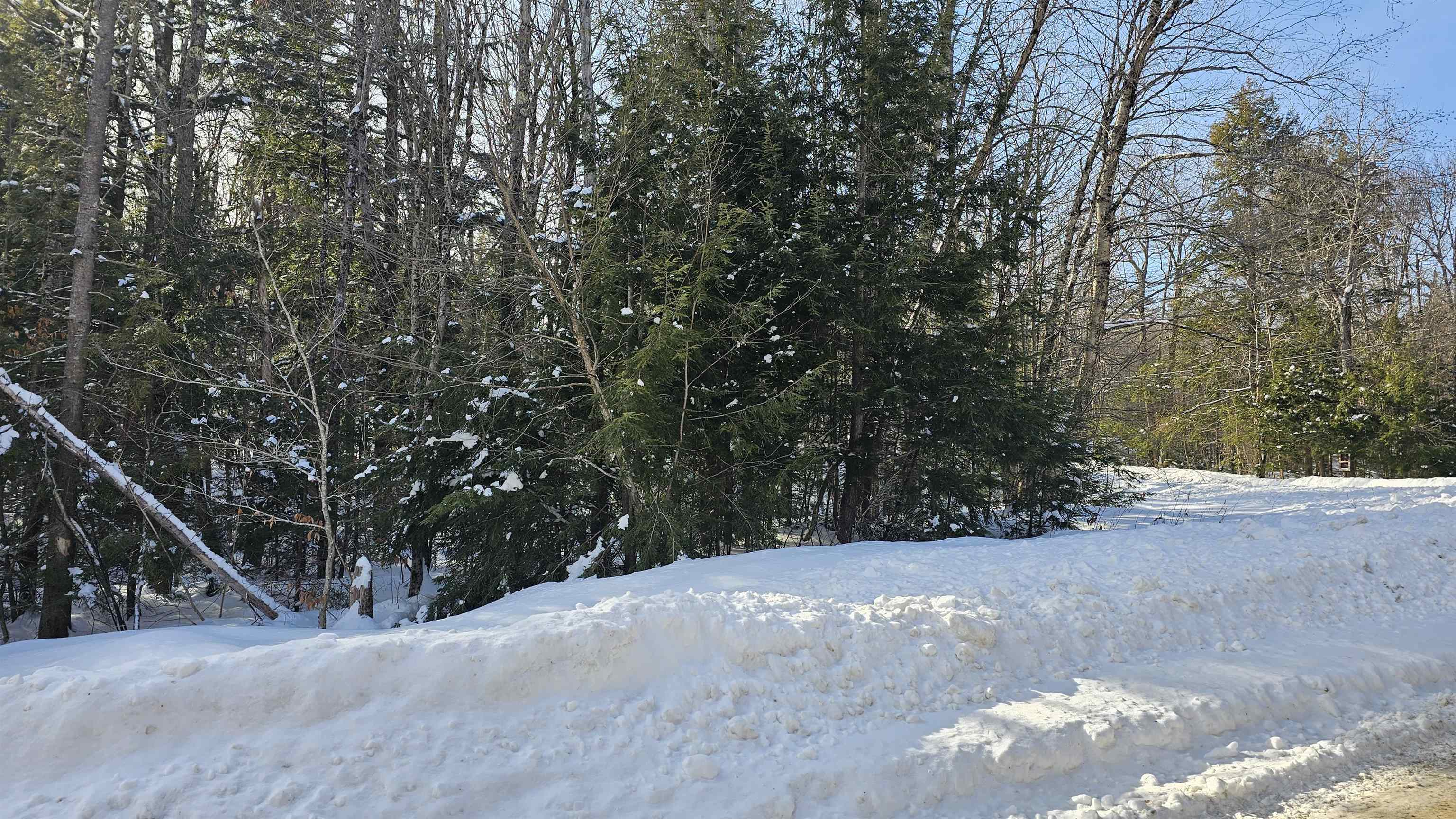 M24-l22 Valley Road Washington, NH 03280 - Photo 6 of 28