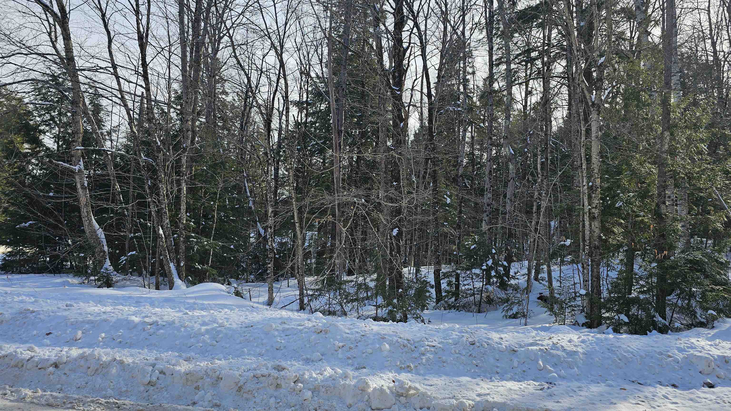 M24-l22 Valley Road Washington, NH 03280 - Photo 7 of 28