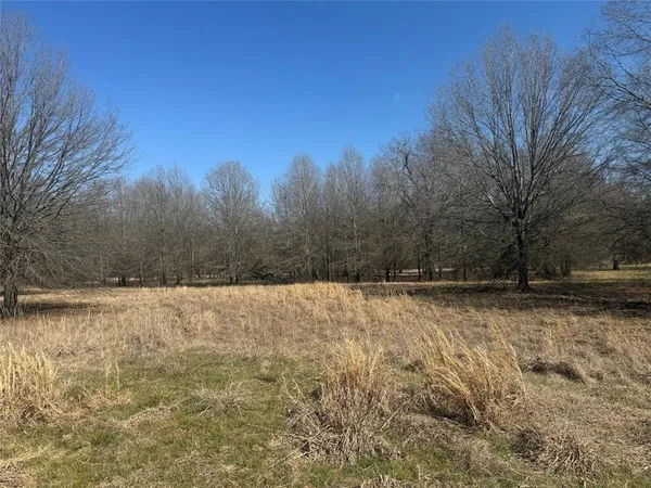 a view of a yard