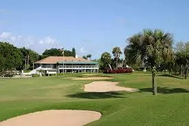 a view of a garden with palm trees