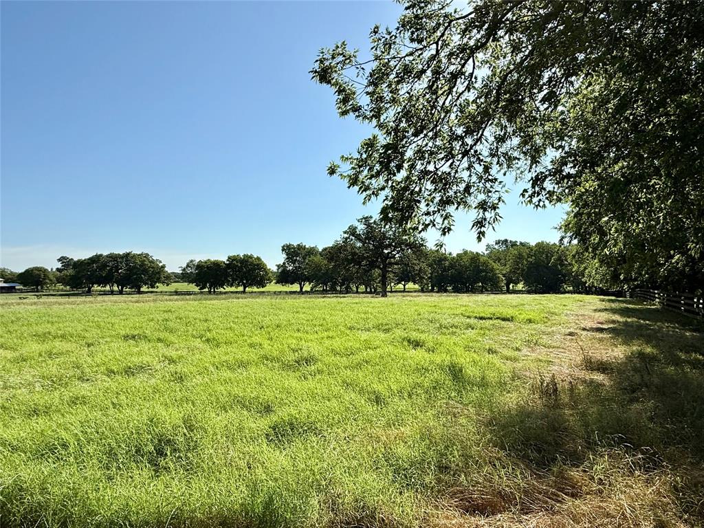 Tbd West Tbd W W Jeter Road Argyle, TX 76226 - Photo 7 of 7 a view of a field of grass and trees