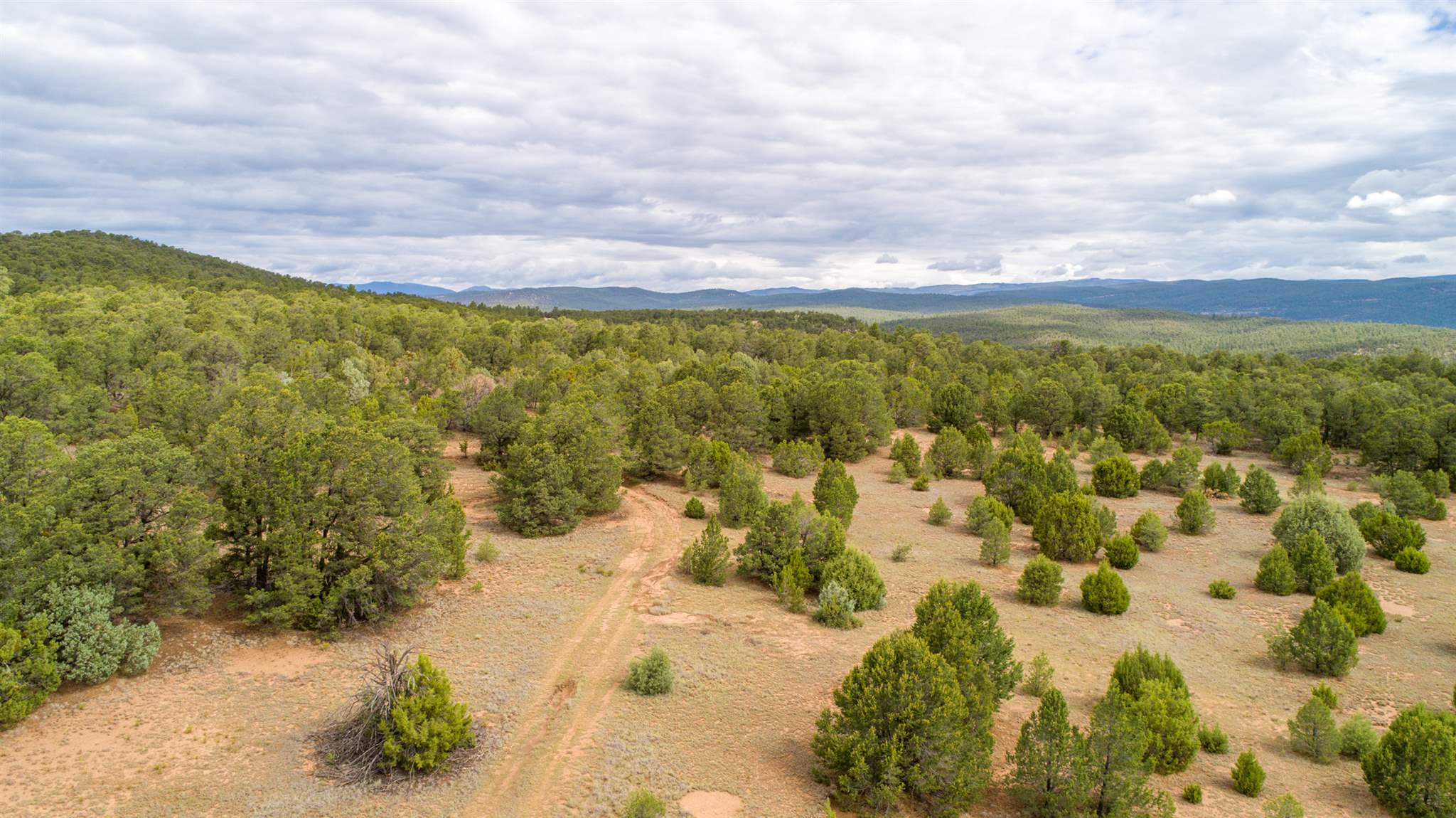 83 Pecos Barillas Road Pecos, NM 87552 - Photo 43 of 54 Gallery Image 43