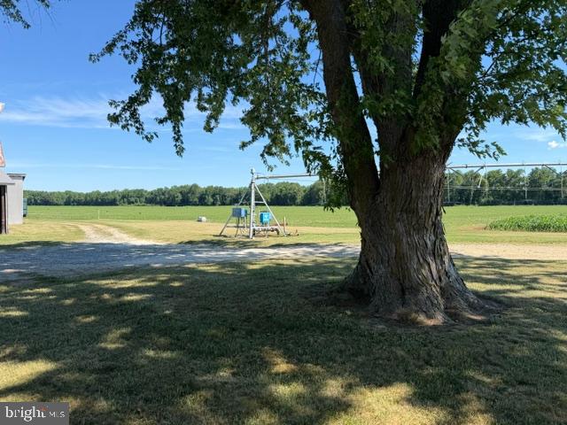 22721 Marsh Creek Road Preston, MD 21655 - Photo 22 of 22 ONE OF SEVERAL SHADE TREES