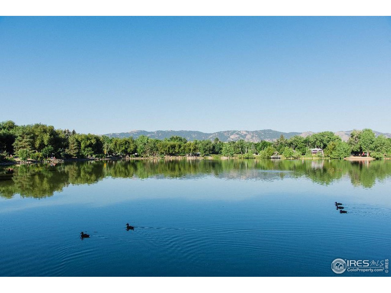 1018 Akin Avenue Fort Collins, CO 80521 - Photo 40 of 40 Sheldon Lake at City Park
