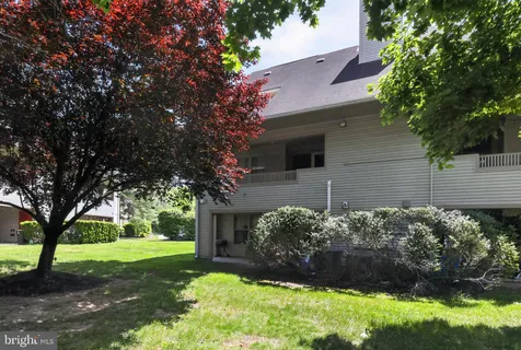 a view of a backyard with plants and large tree