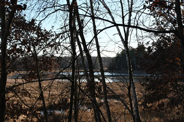 $7,500 | Tbd Overland Drive, Browerville, MN 56438