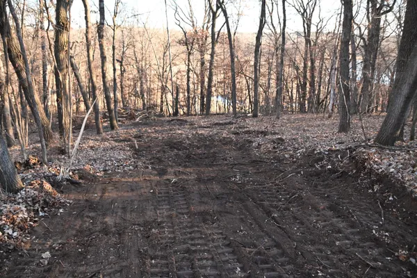 $6,500 | Tbd Overland Drive, Browerville, MN 56438