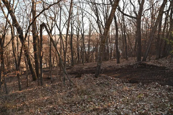 $6,500 | Tbd Overland Drive, Browerville, MN 56438