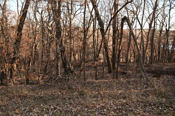 $6,500 | Tbd Overland Drive, Browerville, MN 56438