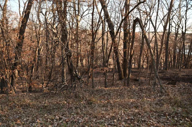 $7,500 | Tbd Overland Drive, Browerville, MN 56438