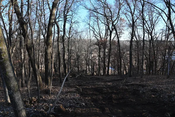 $6,500 | Tbd Overland Drive, Browerville, MN 56438