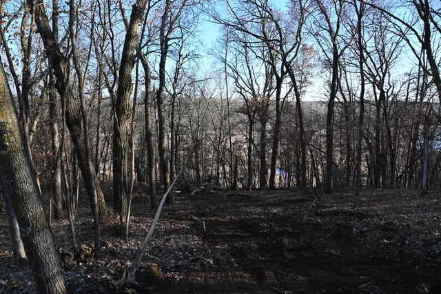 $7,500 | Tbd Overland Drive, Browerville, MN 56438