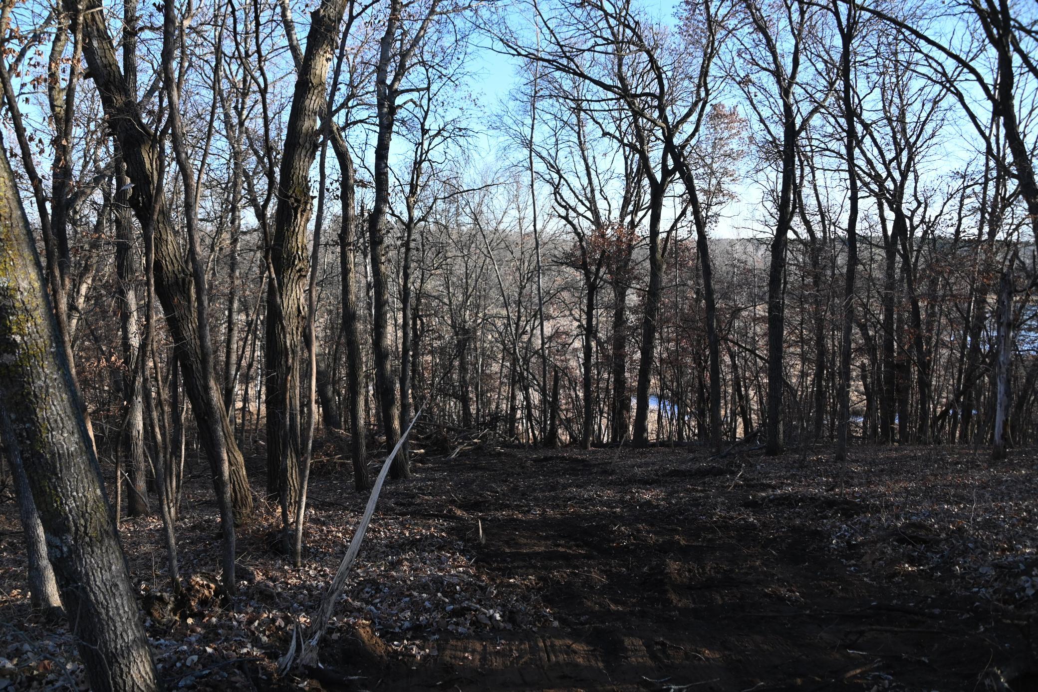 Tbd Overland Drive Browerville, MN 56438 - Photo 7 of 10