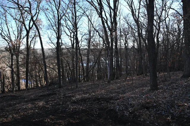 $7,500 | Tbd Overland Drive, Browerville, MN 56438