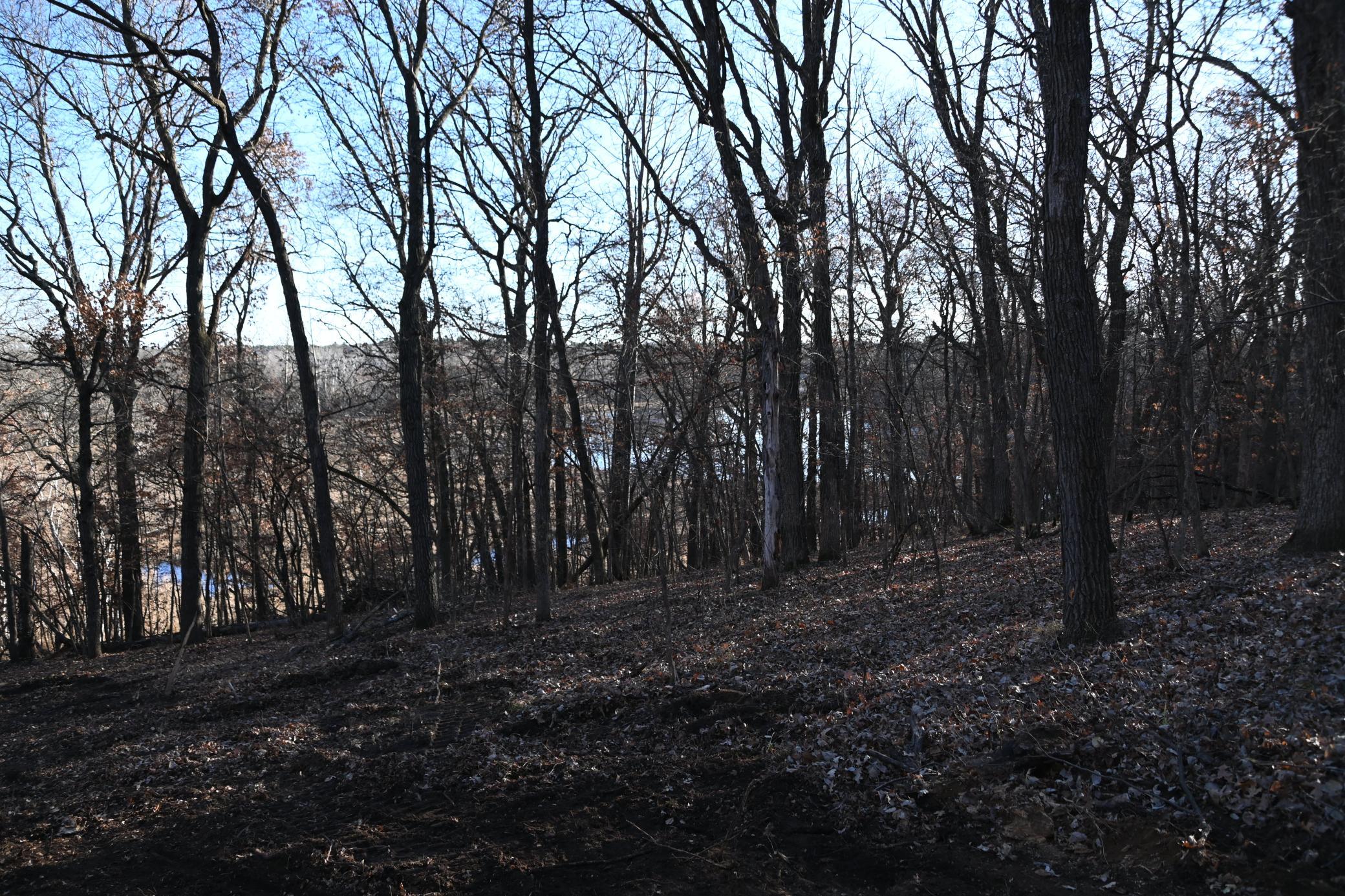 Tbd Overland Drive Browerville, MN 56438 - Photo 8 of 10