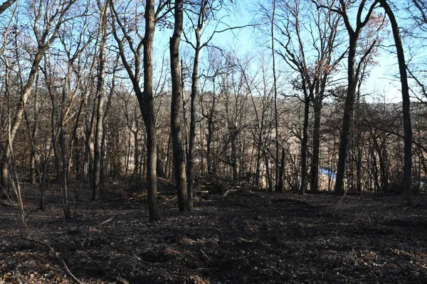 $6,500 | Tbd Overland Drive, Browerville, MN 56438