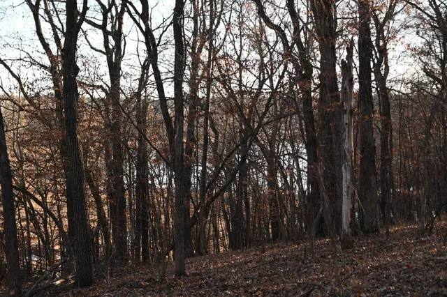 $7,500 | Tbd Overland Drive, Browerville, MN 56438