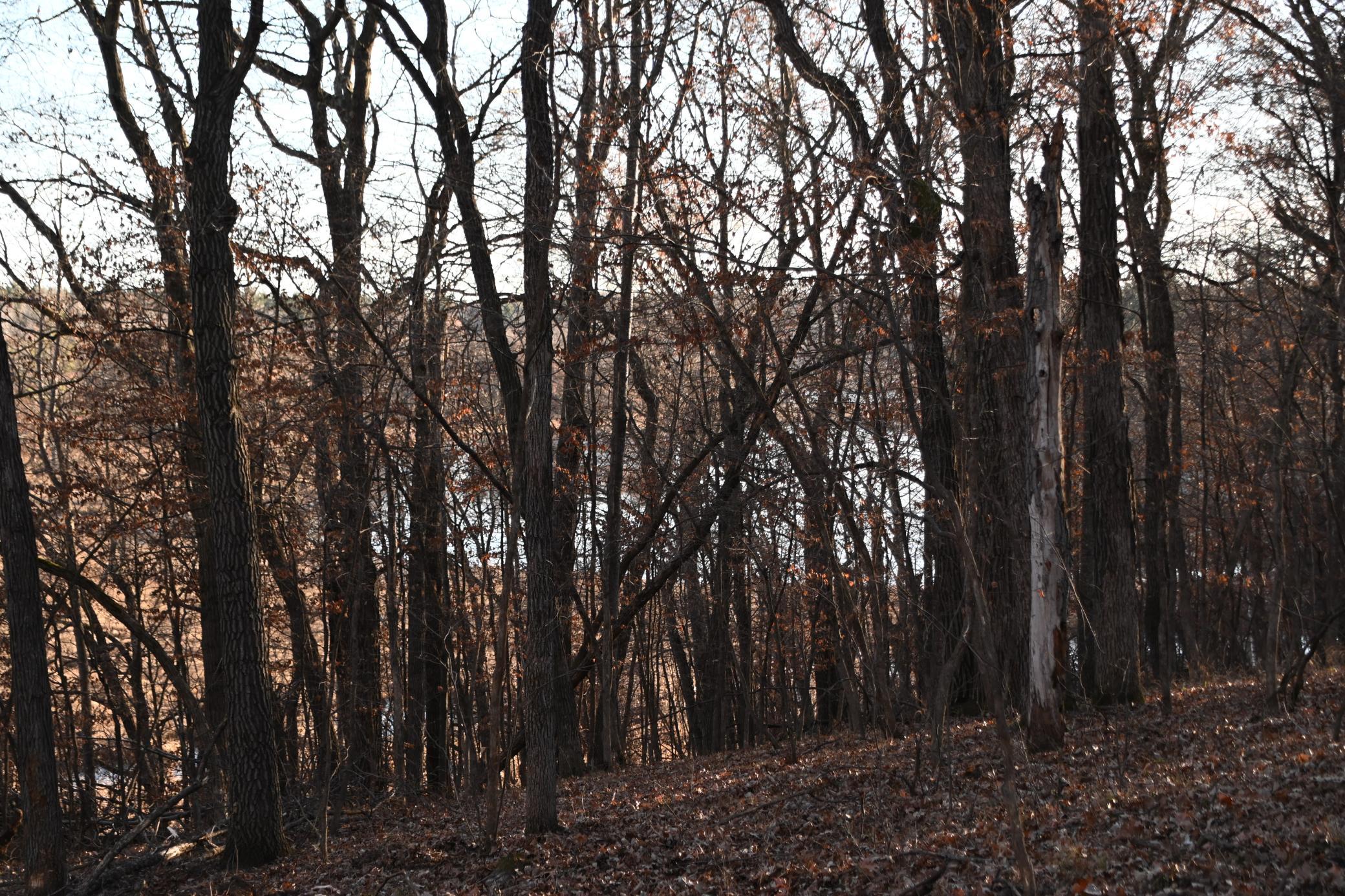 Tbd Overland Drive Browerville, MN 56438 - Photo 10 of 10