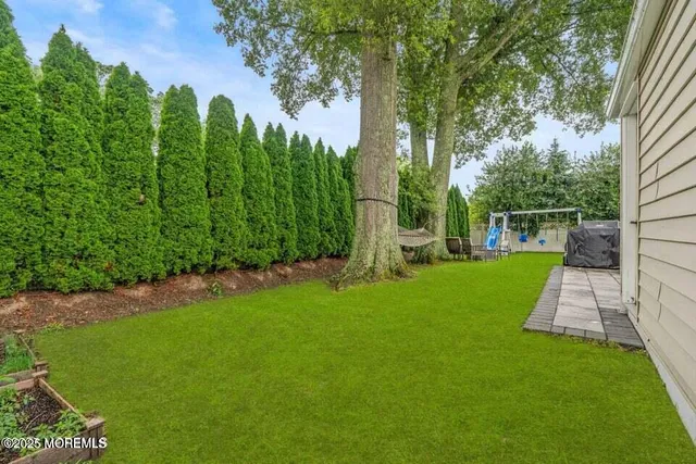 a view of a park with large trees