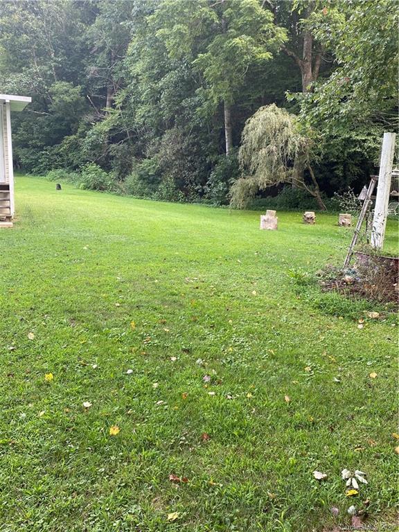 137 Walnut Road Clyde, NC 28721 - Photo 24 of 38