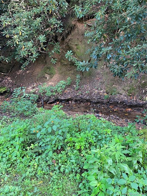 137 Walnut Road Clyde, NC 28721 - Photo 26 of 38