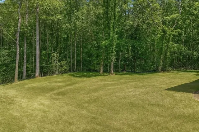 a view of a field with trees in the background