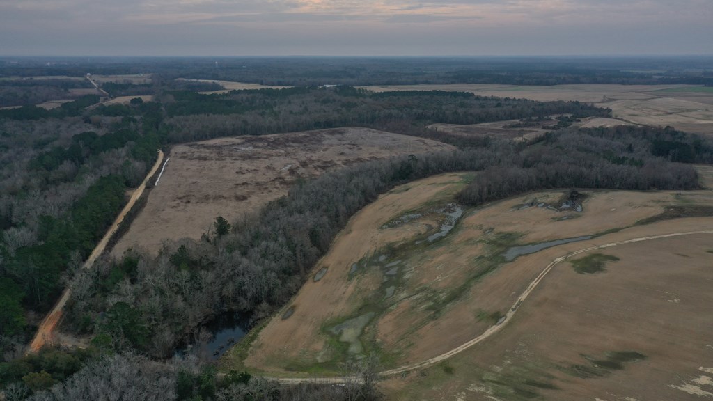 15.05 Pera Road Samson, AL 36477 - Photo 15 of 29
