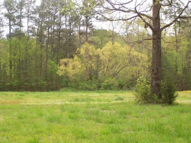 11381 Macon Road Eads, TN 38028 - Photo 6 of 21 a view of a yard with a tree