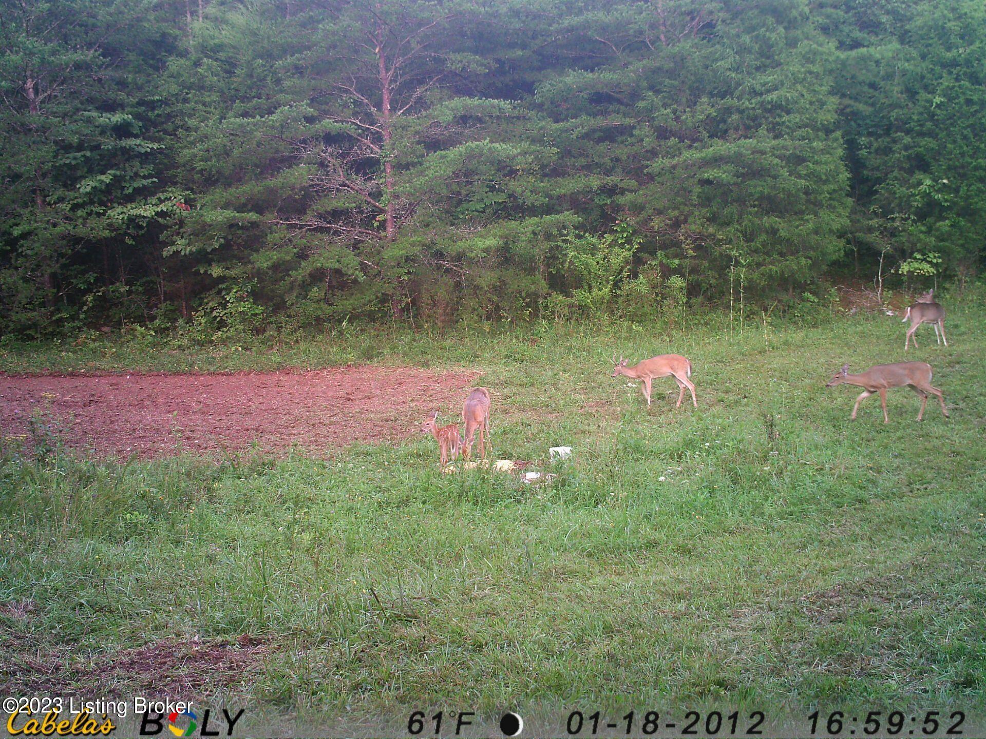 945 Hail Meece Road Somerset, KY 42501 - Photo 33 of 37 Attachment_2
