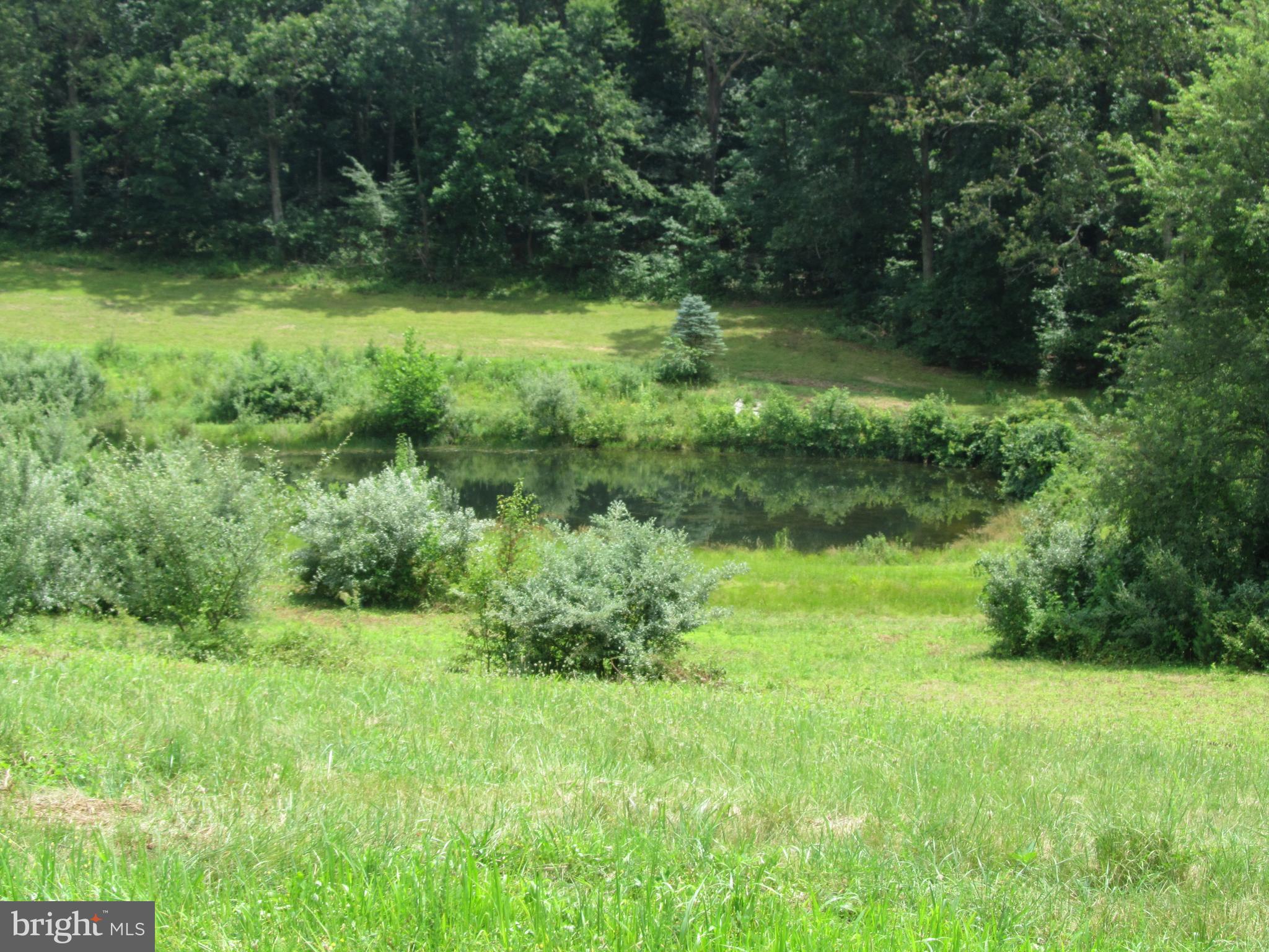 Burke Road White Hall, MD 21161 - Photo 11 of 23